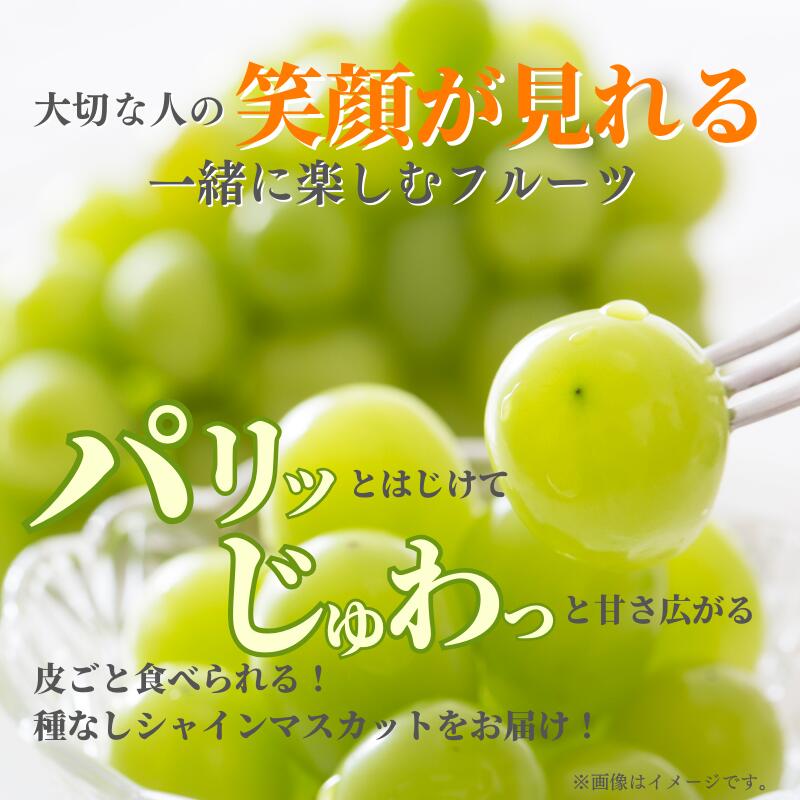 【ふるさと納税】先行予約 シャインマスカット マスカット 1.2kg 2房 ぶどう 葡萄 種無し おすすめ 人気 美味しい 甘い 大きい プレゼント お裾分け ギフト 贈り物 贈答 贈答用 夏の贈り物 岡山 新見 産地 特産品 露地 A級食材 フルーツ 果物 送料無料 化粧箱入り 少量