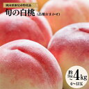【ふるさと納税】先行予約 白桃 桃 < 約 2kg 6玉 / 約 3kg 8玉 / 約 4kg 12 ...