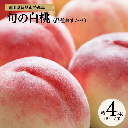 草間台の朝採れ白桃 1箱 4kg 12〜13玉【先行予約】