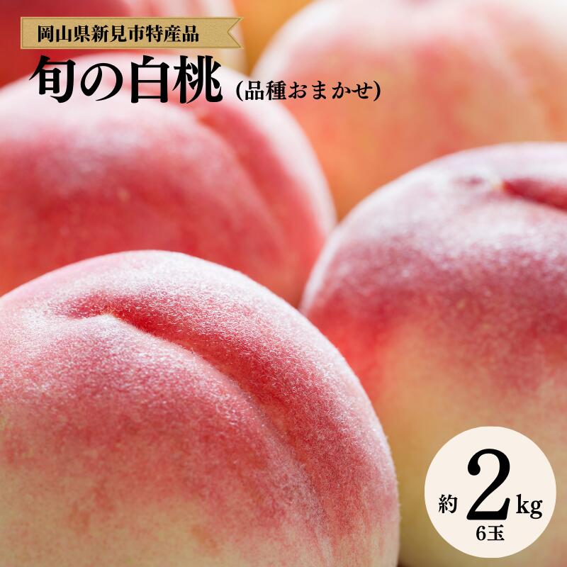 【ふるさと納税】草間台の朝採れ白桃1箱 約2kg 6玉【先行予約】のサムネイル