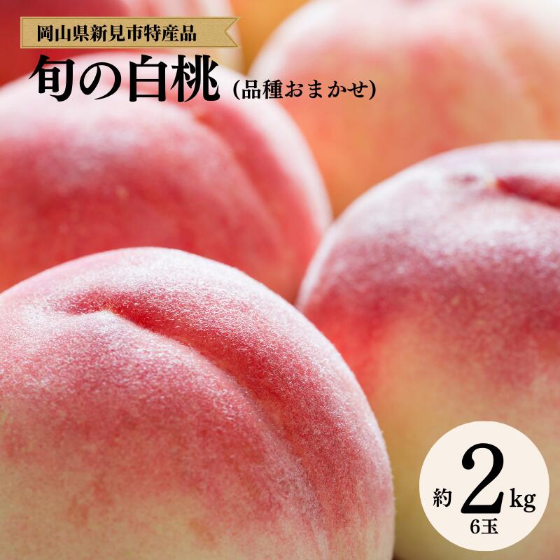 【ふるさと納税】先行予約 白桃 桃 1箱 2kg 6玉 もも