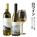 名称 ワイン(白ワイン) 内容量 【自社（荒戸山ワイナリー）醸造】 ・白ワイン HAKUBI 750ml×1本 アルコール11％～12%（醸造年によって異なる） 【三次ワイナリー醸造】 ・白ワイン HAKUBI 720ml×1本 アルコール11％ 産地名 岡山県新見市 原材料 ぶどう（岡山県新見市産シャルドネ）、酸化防止剤（亜硫酸塩） アレルギー 対象となる28品目が含まれない。 申込期日 通年 発送時期 ご寄附納入確認日から1ヶ月以内を目安に返礼品をお送りいたします。 GW、お盆、年末年始などは発送が遅れる場合があります。 配送形態 冷蔵 保存方法 12℃～15℃が適温です。 ワインセラーまたは冷蔵庫の野菜室で保管してください。 ※開栓後はなるべく早くお飲みください。 注意事項 ※ぶどうの成分がオリや酒石となって凝固、沈殿することがありますが品質には問題ありません。 ※妊娠中や授乳期の飲酒は胎児、乳児の発育に悪影響を与えるおそれが有ります。 ※20歳未満の飲酒は法律で禁止されています。20歳未満の申し受けは承っておりません。 ※画像はイメージです。 ※「お申し込みの不備」「事前連絡なしの長期不在や転居」「住所不明」「日数が経ってからのお受け取り」などは再出荷いたしかねます。 提供事業者 岡山ワインバレー ・ふるさと納税よくある質問はこちら ・寄附申込みのキャンセル、返礼品の変更・返品はできません。あらかじめご了承ください。■注意事項/その他 ※ぶどうの成分がオリや酒石となって凝固、沈殿することがありますが品質には問題ありません。 ※妊娠中や授乳期の飲酒は胎児、乳児の発育に悪影響を与えるおそれが有ります。 ※20歳未満の飲酒は法律で禁止されています。20歳未満の申し受けは承っておりません。 ■HAKUBI(ハクビ)】白ワイン　2本セット シャルドネを100％使用した、果実感をギュッと楽しめる辛口白ワイン。 自社醸造と委託醸造のワイン、2本をお届けします。 飲み比べをお楽しみください。 ※荒戸山ワイナリー醸造（自社醸造）・ステンレスタンク熟成 石灰質土壌で育ったミネラル豊富なシャルドネのフリーラン果汁で作った、贅沢なワインです。 成熟した果実感と、はつらつとした酸のシャープでキレのある洗練された旨味を味わっていただけます。 ※三次ワイナリー醸造 若干遅めに収穫した糖度の高いブドウを使用しています。 果実感を大切にし、豊かな風味と旨味が広がりつつも、磨かれたクリアで洗練された飲み口が特徴。 ■丁寧に育てた新見市産ぶどうを使った、個性豊かなワイン ひと房ひと房手間ひまを惜しまない高品質で伝統的なぶどう栽培が行われている岡山県。 「岡山ワインバレー」では、この栽培方法を生かしたワイン用のぶどう栽培を行っています。 2018年には自社醸造所「荒戸山ワイナリー」も完成し、ぶどう栽培から自家醸造までを一貫して行う体制も整いました。 高いクオリティと可能性を追求したワインを、お届けします。 「ふるさと納税」寄付金は、下記の事業を推進する資金として活用してまいります。 寄付を希望される皆さまの想いでお選びください。 1. 産業・経済 2. 健康・福祉 3. 教育・文化・スポーツ 4. 教育文化スポーツの内大学支援 5. 安全・生活基盤 6. 都市基盤・交通 7. 環境 8. 交流・コミュニティ 9. 指定しない 入金確認後、注文内容確認画面の【注文者情報】に記載の住所にお送りいたします。 発送の時期は、寄附確認後1か月以内を目途に、お礼の特産品とは別にお送りいたします。