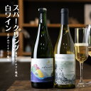 【ふるさと納税】白ワイン スパークリングワイン 2本 セット 750ml 岡山ワインバレー 荒戸山ワイナリー醸造 東京ワイナリー醸造