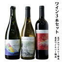 【ふるさと納税】赤ワイン 白ワイン スパークリング 3本 セット 各750ml 岡山ワインバレー 荒戸山ワイナリー醸造 東京ワイナリー醸造 日本ワイン