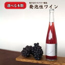 名称 ワイン 内容量 【自社（荒戸山ワイナリー）醸造】 発泡性ワイン Unnatural アルコール10% ・500ml×1本 ・500ml×2本 産地名 岡山県新見市 原材料 ぶどう（岡山県新見市産サンジョヴェーゼ100％） アレルギー アレルギー対象となる28品目が含まれない。 申込期日 通年 発送時期 ご寄附納入確認日から1ヶ月以内を目安に返礼品をお送りいたします。 GW、お盆、年末年始などは発送が遅れる場合があります。 配送形態 冷蔵 保存方法 12℃～15℃が適温です。 ワインセラーまたは冷蔵庫の野菜室で保管してください。 ※開栓後はなるべく早くお飲みください。 注意事項 ※ぶどうの成分がオリや酒石となって凝固、沈殿することがありますが品質には問題ありません。 ※妊娠中や授乳期の飲酒は胎児、乳児の発育に悪影響を与えるおそれが有ります。 ※20歳未満の飲酒は法律で禁止されています。20歳未満の申し受けは承っておりません。 ※画像はイメージです。 ※「お申し込みの不備」「事前連絡なしの長期不在や転居」「住所不明」「日数が経ってからのお受け取り」などは再出荷いたしかねます。 提供事業者 岡山ワインバレー ・ふるさと納税よくある質問はこちら ・寄附申込みのキャンセル、返礼品の変更・返品はできません。あらかじめご了承ください。■注意事項/その他 ※ぶどうの成分がオリや酒石となって凝固、沈殿することがありますが品質には問題ありません。 ※妊娠中や授乳期の飲酒は胎児、乳児の発育に悪影響を与えるおそれが有ります。 ※20歳未満の飲酒は法律で禁止されています。20歳未満の申し受けは承っておりません。 ■丁寧に育てた新見市産ぶどうで、個性豊かなワインを 【Unnatural(アンナチュラル)】発泡性ワイン イタリア品種のサンジョヴェーゼを主体とし、同じくイタリア品種のネッビオーロを加えることによりタンニンの余韻が続き、力強さと華やかさを感じられるワインです。 「ふるさと納税」寄付金は、下記の事業を推進する資金として活用してまいります。 寄付を希望される皆さまの想いでお選びください。 1. 産業・経済 2. 健康・福祉 3. 教育・文化・スポーツ 4. 教育文化スポーツの内大学支援 5. 安全・生活基盤 6. 都市基盤・交通 7. 環境 8. 交流・コミュニティ 9. 指定しない 入金確認後、注文内容確認画面の【注文者情報】に記載の住所にお送りいたします。 発送の時期は、寄附確認後1か月以内を目途に、お礼の特産品とは別にお送りいたします。