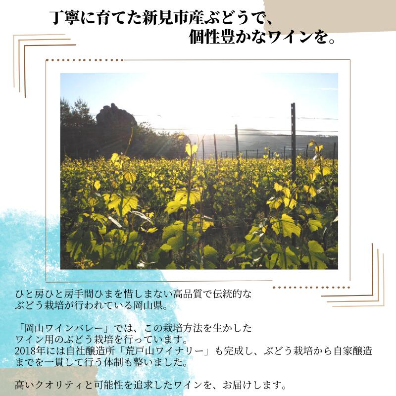 【ふるさと納税】岡山ワインバレー 荒戸山ワイナリー醸造 ワイン 2本 発泡性ワイン 白ワイン 赤ワイン ロゼワイン 日本ワイン 無濾過 無濾過ワイン 亜硫酸無添加 ナチュラルワイン フレッシュワイン スパークリングワイン 生ワイン 美味しい 人気 ギフト 贈答用 贈答品