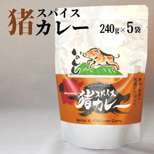 【ふるさと納税】岡山県新見市産 イノシシ肉使用のレトルトカレー スパイス猪カレー 240g×5袋