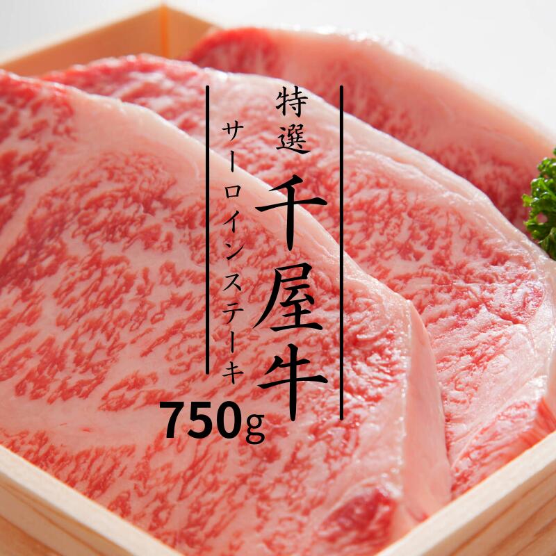 【ふるさと納税】牛肉 牛 和牛 黒毛和牛 千屋牛 焼肉 サー