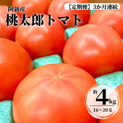 定期便 3ヶ月連続 阿新産桃太郎トマト 1箱 約4kg 16〜20玉