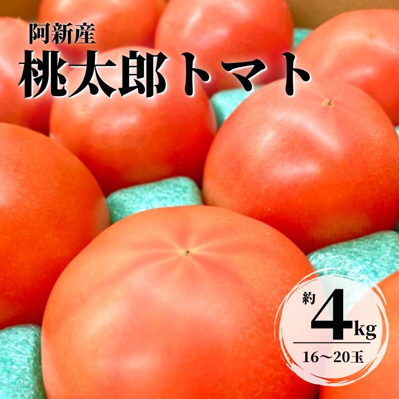 【ふるさと納税】トマト 大玉トマト 桃太郎トマト 1箱 約4kg 16〜20玉 野菜 夏の野菜 美味しい おすすめ 人気 プレゼント ギフト 贈り物 産地直送 岡山県産 サラダ 完熟 ミネストローネ 冷製パスタ カレー トマトソースのサムネイル
