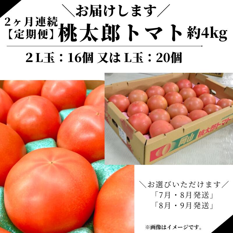 【ふるさと納税】定期便 2ヶ月連続 トマト 大玉トマト 桃太郎トマト 1箱 約4kg 16〜20玉 野菜 夏の野菜 美味しい おすすめ 人気 プレゼント ギフト 贈り物 産地直送 岡山県産 サラダ 完熟 ミネストローネ 冷製パスタ カレー トマトソース