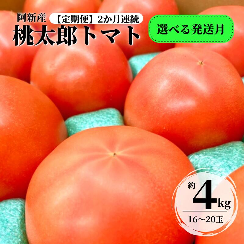 定期便:2ヶ月連続 阿新産桃太郎トマト 1箱 約4kg 16〜20玉