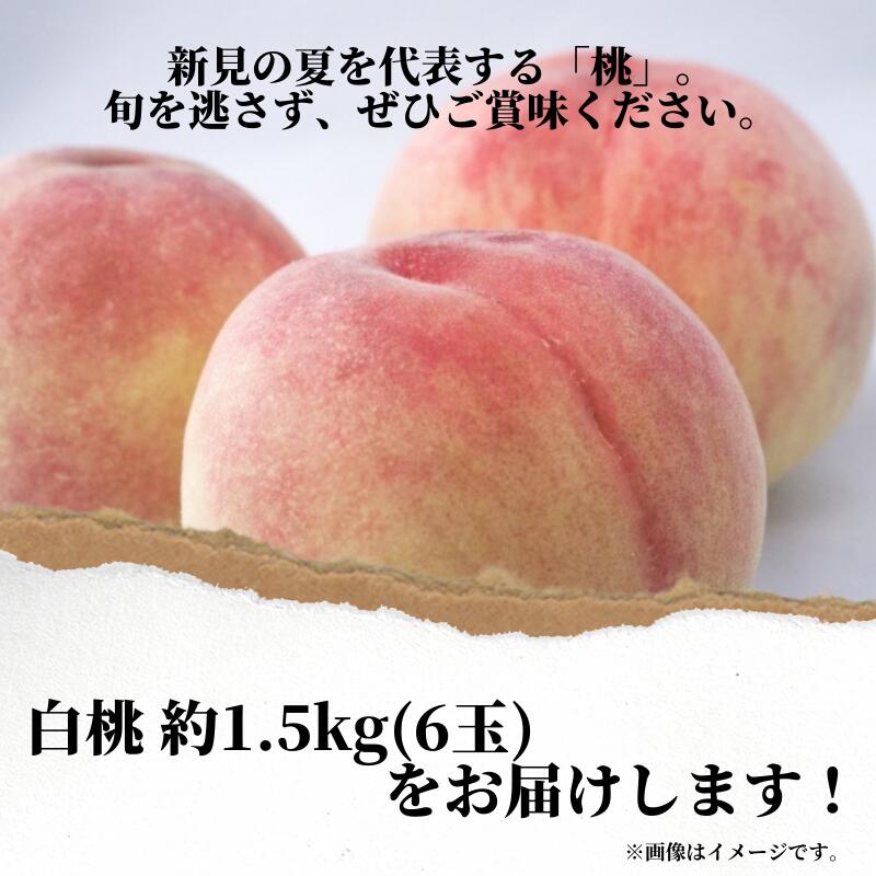 【ふるさと納税】新見の白桃 約1.5kg 6玉【先行予約】