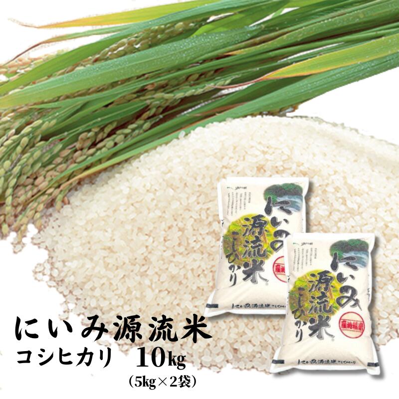 【ふるさと納税】 令和5年産 コシヒカリ 10kg 5kg×2袋 にいみ源流米のサムネイル