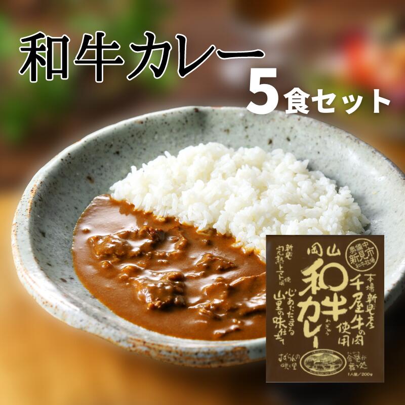 和牛カレー レトルト レトルトカレー ビーフカレー 5食 セット 千屋牛 和牛 おすすめ 美味しい 人気