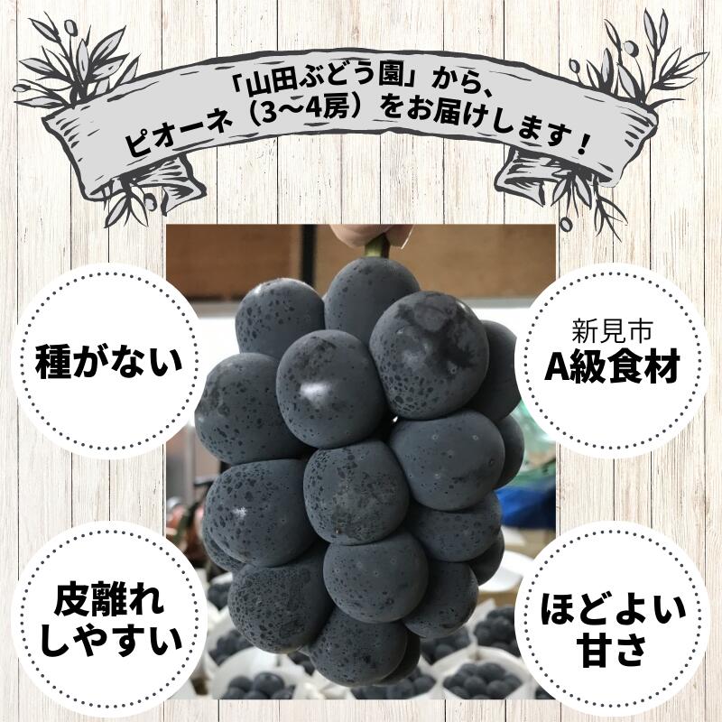 【ふるさと納税】ピオーネ 約2kg 3〜4房 山田ぶどう園【先行予約 9月上旬から順次発送】