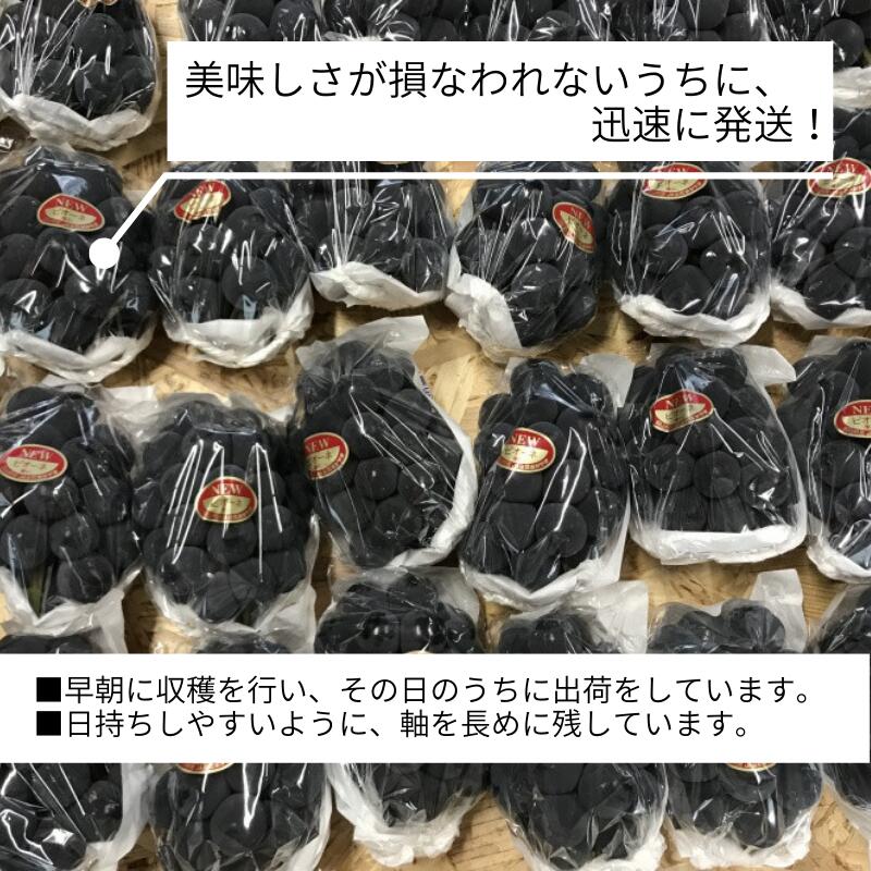 岡山県新見市の画像3