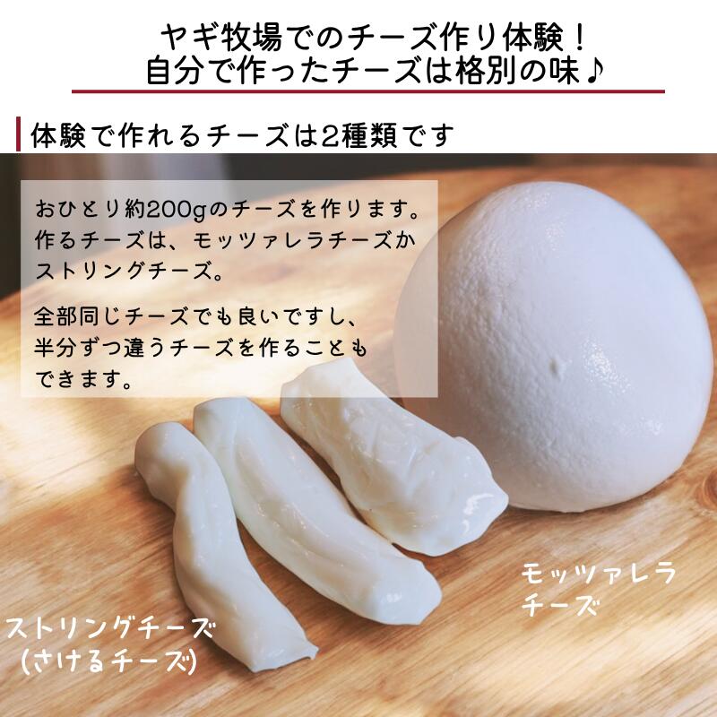 【ふるさと納税】岡山 新見 新見市 体験 チーズ作り体験 シェーブル チーズ モッツァレラチーズ モッツアレラ モッツァレラ ストリング さけるチーズ 山羊乳 おすすめ 美味しい おいしい 人気 ヤギのチーズ ペアチケット ペア