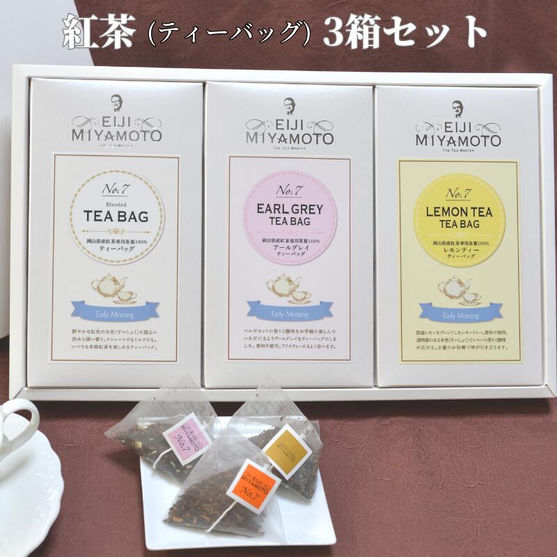 紅茶 3箱 ティーバッグ アールグレイ レモンティー 美味しい おすすめ 人気 飲み比べ プレゼント ギフト 贈り物 贈答 のし対応 TEA フレーバーティー ベルガモット アイスティー ホットティー アフタヌーンティー おうちカフェ ご褒美 紅茶農園 ティータイム