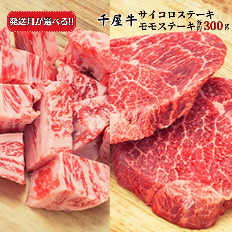 牛肉 千屋牛 サイコロステーキ モモ ステーキ セット 600g 300g×2種 A5 [予約受付・受注生産]