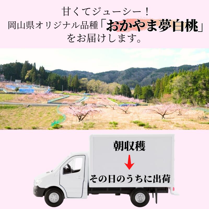 岡山県新見市の画像2