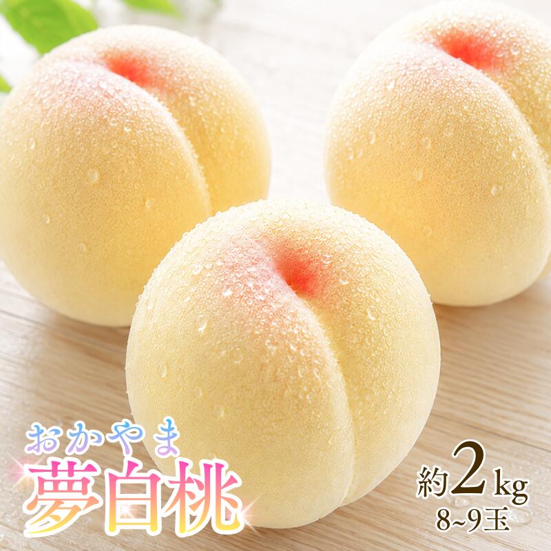 おかやま夢白桃 約2kg 8～9玉 岡山県新見市 【先行予約 2026年7月下旬から順次発送】