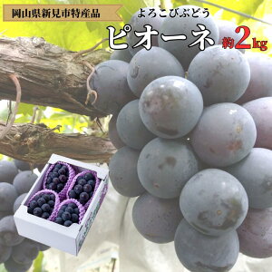 【ふるさと納税】ピオーネ 約 2kg 3〜4房 厳選 もりおか農園 よろこび ぶどう 岡山 【 先行予約 9月上旬から順次発送】