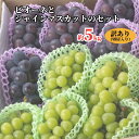 【ふるさと納税】訳あり ピオーネ シャインマスカット セット 詰め合わせ もりおか農園 よろこびぶどう 切房入り 約 5kg 8~13房 種なし 岡山 【 先行...
