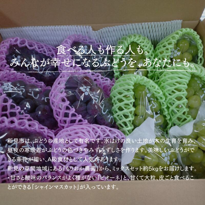 【ふるさと納税】訳あり ピオーネ シャインマスカット セット 詰め合わせ もりおか農園 よろこびぶどう 切房入り 約 5kg 8〜13房 種なし 岡山 【 先行予約 10月上旬から 順次発送 】