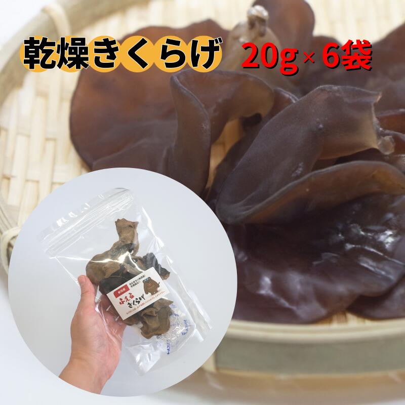 新見産 乾燥きくらげ 20g×6袋