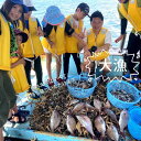 【ふるさと納税】0120-J-001　日生諸島　遊漁船体験