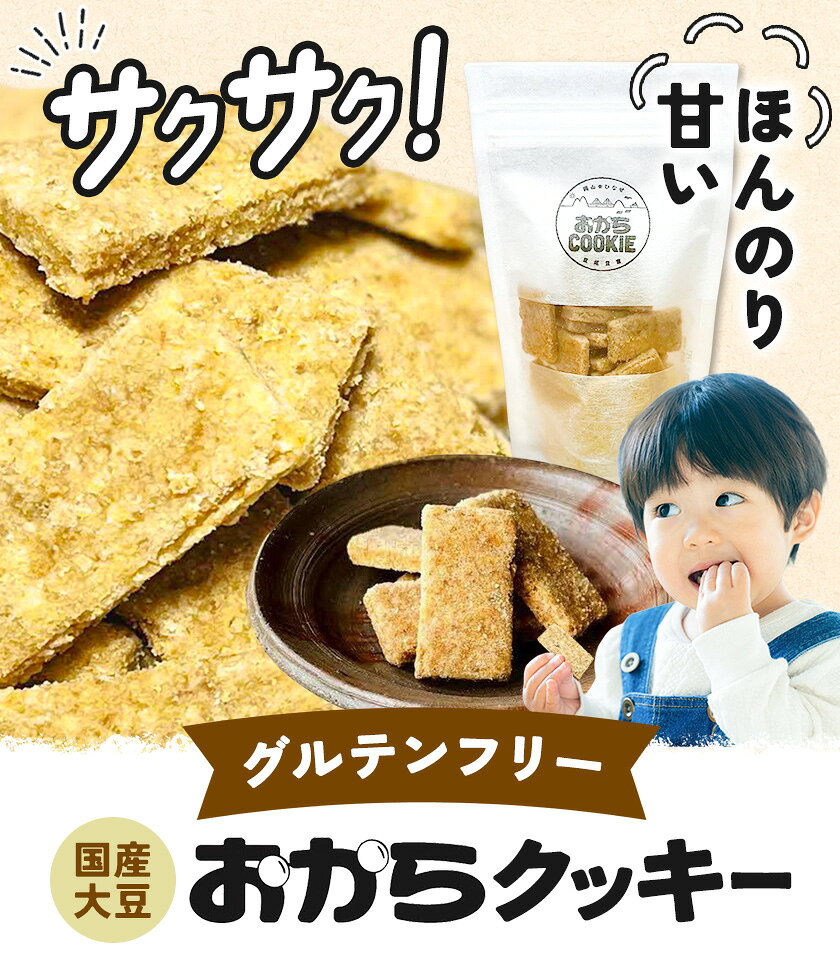 【ふるさと納税】グルテンフリー 国産大豆のおからクッキー 選べる 100g×5袋 100g×10袋 国産 大豆 米粉 星尾豆富店 星尾純一《30日以内に出荷予定(土日祝除く)》岡山県 備前市 お菓子 おかし おから クッキー 無添加 ヘルシー おやつ 健康 美容 ギフト のし 子供 f332119-bizen-10001023 岡山県備前市 サンプル画像2