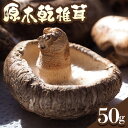 2位! 口コミ数「0件」評価「0」原木 乾 椎茸 50g 自然農園つちのしらべ 井上嘉人《7日以内に出荷予定(土日祝除く)》干ししいたけ しいたけ 乾燥シイタケ 乾燥椎茸 き･･･ 