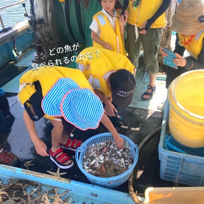 【ふるさと納税】0183-J-001　日生諸島　遊漁船体験 ※実施期間は、5/1～10/31まで