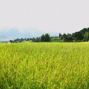 【ふるさと納税】0012-D-010 岡山県産きぬむすめ(1...