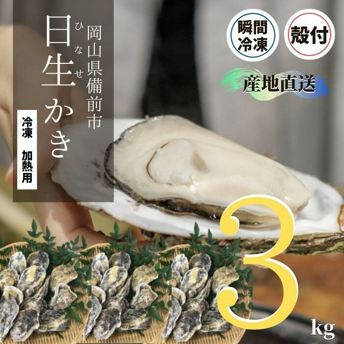【ふるさと納税】0010-C-138 産地直送!加熱用殻付きかき3kg(瞬間冷凍30~40個)専用ナイフ、軍手付き