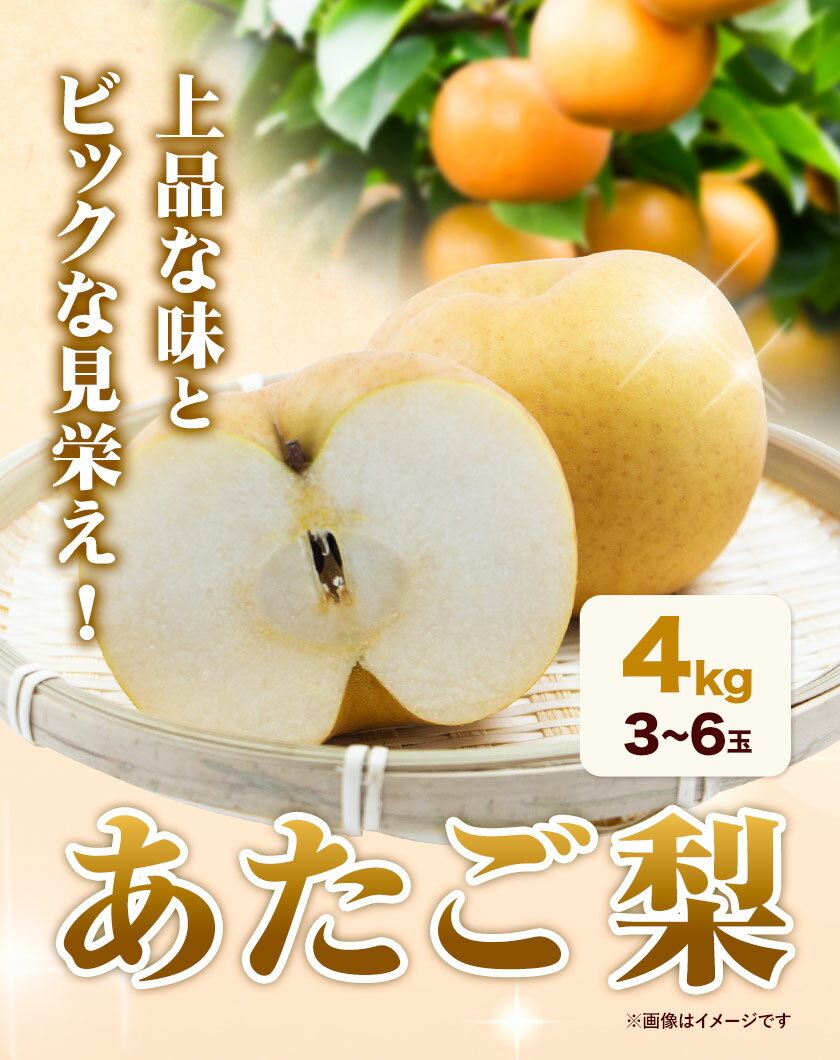 【ふるさと納税】【令和6年産（2024年発送）先行受付】梨 あたご梨 岡山名産 約4kg 3～6玉 《11月下旬-12月下旬頃出荷予定》日本一大きな梨 お歳暮 ギフト 岡山県 備前市