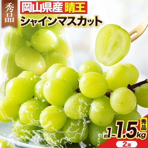 【ふるさと納税】【2025年 先行受付】 フルーツ 果物 マスカット 岡山県産 秀品 シャインマスカット ぶどう 晴王 約 1kg (2房) or 約 1.5kg(2房)《2025年8月中旬-10月末頃出荷》土方商店 岡山県 備前市 葡萄 送料無料 【ふるさと納税】【2025年 先行受付】 フルーツ 果物 マスカット 岡山県産 秀品 シャインマスカット ぶどう 晴王 約 1kg (2房) or 約 1.5kg(2房)《2025年8月中旬-10月末頃出荷》土方商店 岡山県 備前市 葡萄 送料無料