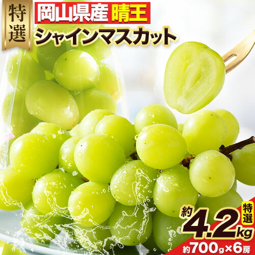 [2025年先行予約]シャインマスカット 岡山県産 晴王 特選 計4.2kg (約 700g × 6 房)[2025年8月中旬-10月末頃出荷]有限会社土方商店 岡山県 備前市 くだもの 果物 フルーツ ぶどう マスカット スイーツ
