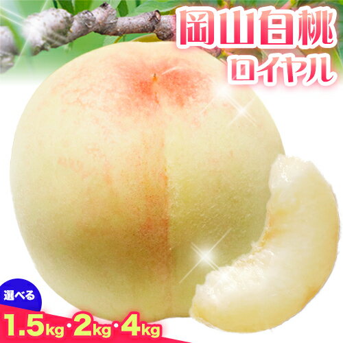 岡山白桃（ロイヤル）約1.5kg 約2kg 約4kg 有限会社 土方商店《7月上旬-8月上旬頃出荷》岡山県 備前市 白桃 桃 ロイヤル もも 果物 フルーツ