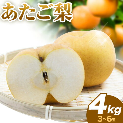 【ふるさと納税】【2025年発送 先行受付】梨 あたご梨 岡山名産 約4kg 3〜6玉 《11月下旬-12月末頃出荷予定》日本一大きな梨 お歳暮 ギフト 岡山県 備前市
