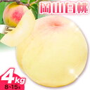 白桃 岡山 約4kg 8～15玉 《7月上旬-8月上旬頃出荷予定》有限会社 土方商店 岡山県産 岡山県 備前市