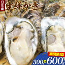 【ふるさと納税】牡蠣 かき 生鮮 日生産 選べる 内容量 300g 600g 東海シープロ《1月中旬-3月中旬頃出荷》岡山県 備前市 ひなせ産 カキ 新鮮 牡蠣 海産物 海鮮 お取り寄せグルメ