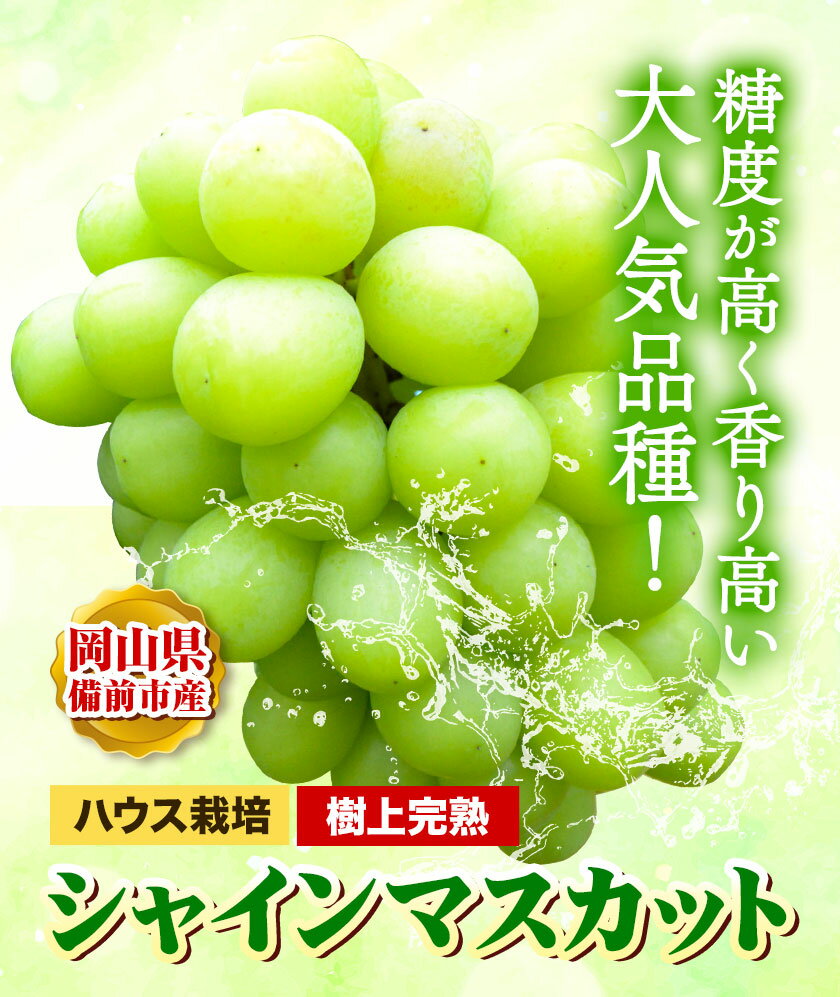 【ふるさと納税】ぶどう【2026年発送】岡山県備前市産 樹上完熟 シャインマスカット(ハウス栽培) 選べる内容量 1房箱×6箱 約2kg フルーツパークびぜん《8月中旬-9月中旬頃出荷》岡山県 備前市 樹上完熟 シャインマスカット マスカット ハウス栽培 葡萄 フルーツ 果物