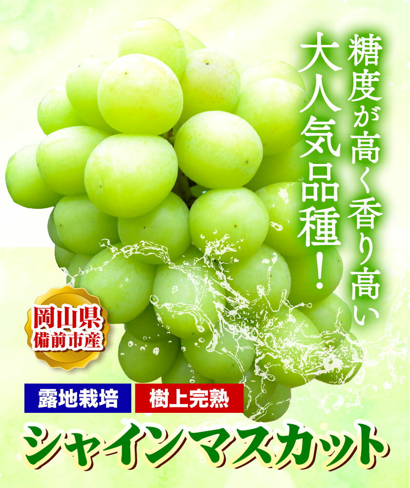【ふるさと納税】ぶどう【2025年発送】岡山県備前市産 樹上完熟 シャインマスカット(露地栽培) 選べる内容量 1房（約600g前後）約2kg フルーツパークびぜん《9月-10月頃出荷》岡山県 備前市 樹上完熟 シャインマスカット マスカット 露地栽培 葡萄 フルーツ 果物