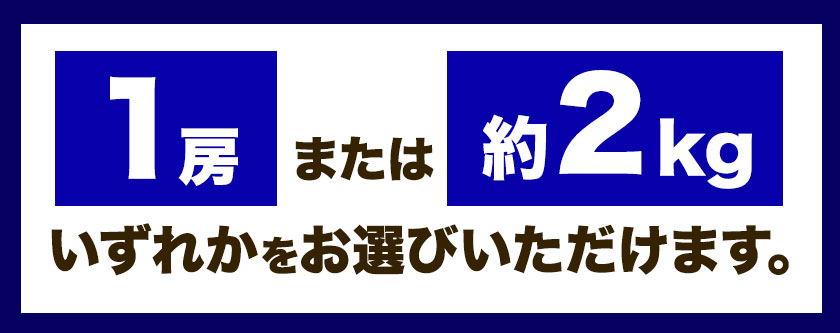 【ふるさと納税】ぶどう【2025年発送】岡山県備前市産 樹上完熟 シャインマスカット(露地栽培) 選べる内容量 1房（約600g前後）約2kg フルーツパークびぜん《9月-10月頃出荷》岡山県 備前市 樹上完熟 シャインマスカット マスカット 露地栽培 葡萄 フルーツ 果物