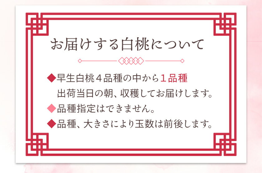 【ふるさと納税】【2025年発送】岡山県備前市産 樹上完熟白桃 早生4品種のうち1品種 選べる内容量 約0.9kg 約4kg フルーツパークびぜん 《6月下旬-7月上旬頃出荷》岡山県 備前市 岡山白桃 さきがけ白桃 加納岩白桃 紅清水白桃 末木白桃 桃 もも モモ フルーツ 果物