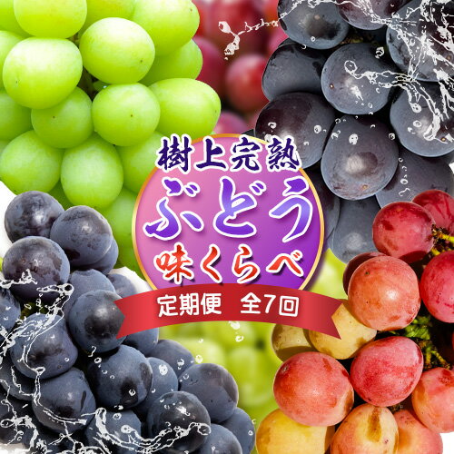 [定期便]ぶどう[2025年発送]岡山県備前市産 樹上完熟ぶどう 味くらべセット 計7回[8月中旬-10月下旬頃出荷]株式会社フルーツパーク備前 岡山県 備前市 葡萄 食べ比べ セット フルーツ 果物 定期便 定期