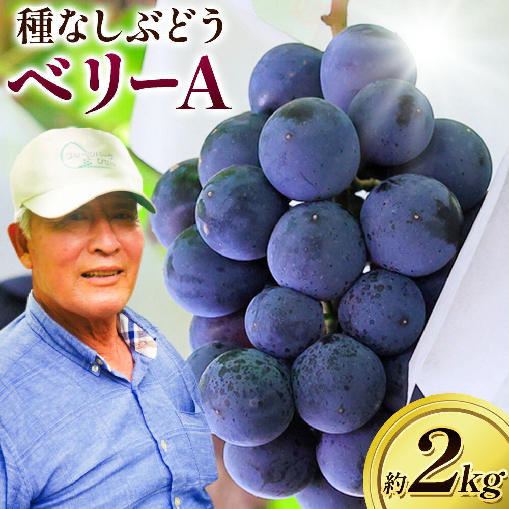 【ふるさと納税】ぶどう【2025年発送】岡山県備前市産「ベリーA」(露地栽培) 約2kg 《9月上旬-9月中旬頃出荷》株式会社フルーツパーク備前 岡山県 備前市 葡萄 ブドウ フルーツ 果物