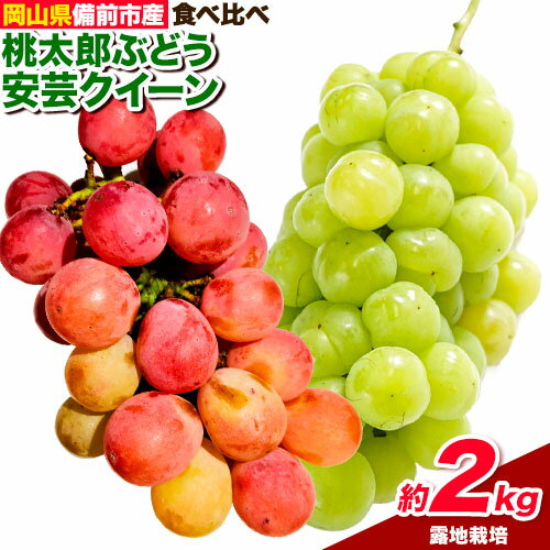 ぶどう[2025年発送]岡山県備前市産 樹上完熟「安芸クイーン」「桃太郎ぶどう」(露地栽培) 約2kg 詰合せセット [8月中旬-9月中旬頃出荷]株式会社フルーツパーク備前 岡山県 備前市 葡萄 食べ比べ 安芸クイーン 桃太郎ぶどう フルーツ